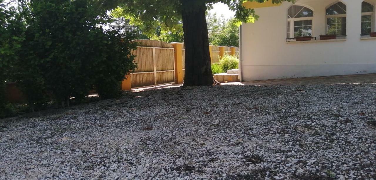 Gesztenye Vendeghaz Ságvár Zewnętrze zdjęcie