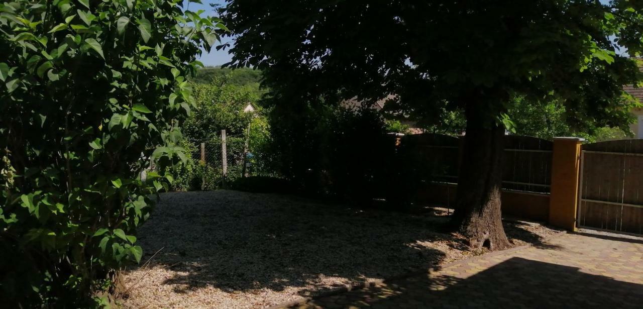 Gesztenye Vendeghaz Ságvár Zewnętrze zdjęcie