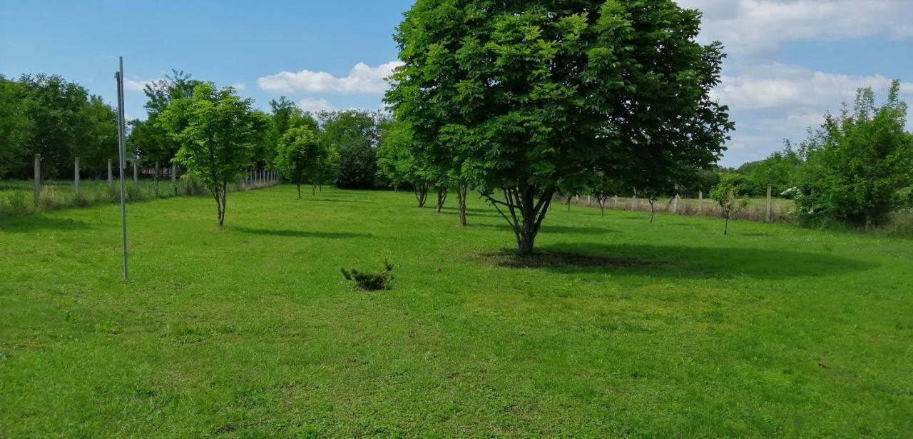 Gesztenye Vendeghaz Ságvár Zewnętrze zdjęcie